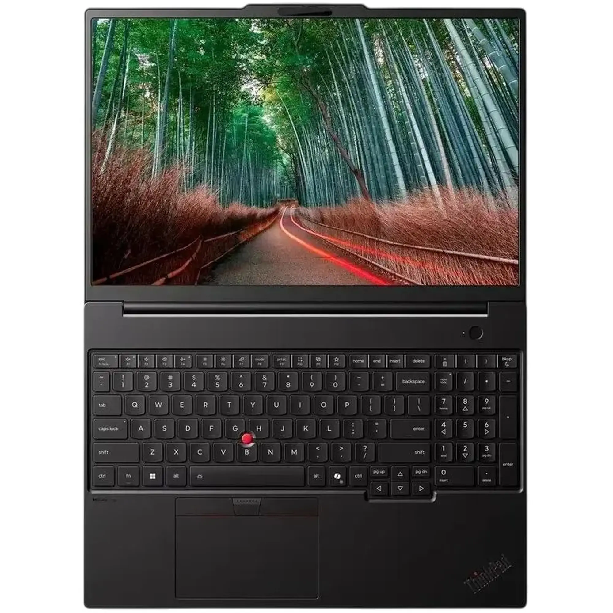 Купить Ноутбук Lenovo ThinkPad P16s G5 (21XHS0Q200) - фото 2