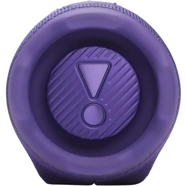 Купить Акустическая система JBL Charge 6 Purple (JBLCHARGE6PUR) - фото 8