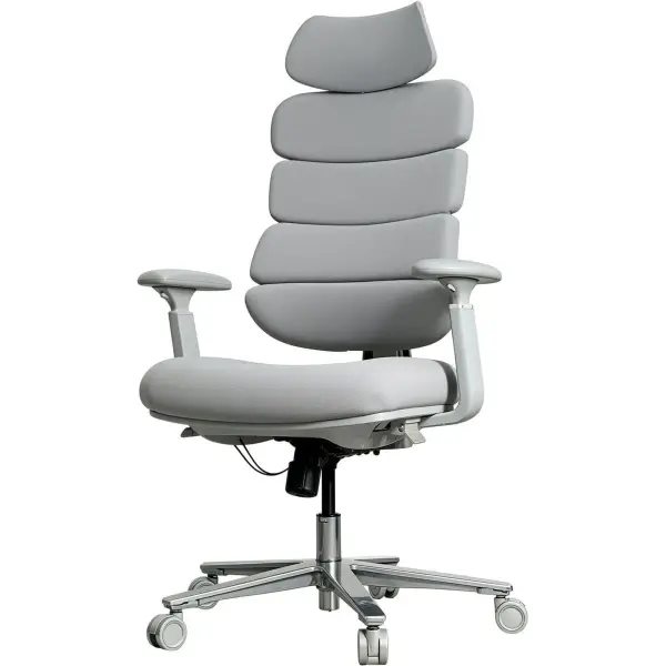 Купить Офисное кресло Sihoo FlexCore OC120G Grey - фото 2